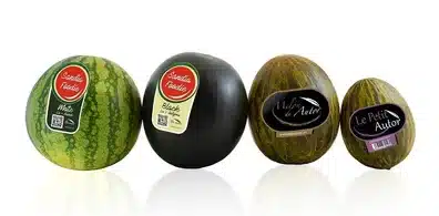 etiquetas personalizadas sandias